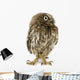 Young Owl Front Wall Decal