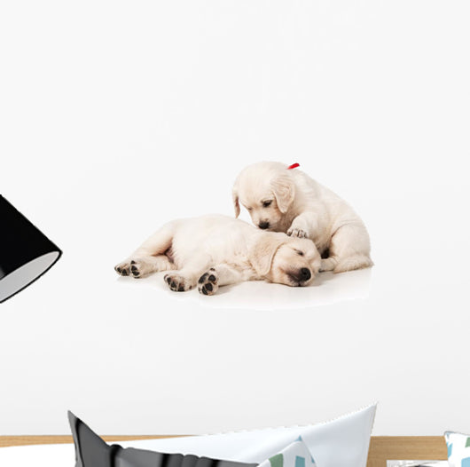 Resting Golden Retriever Puppies Wall Decal
