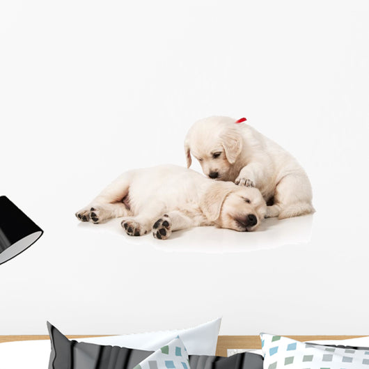 Resting Golden Retriever Puppies Wall Decal