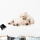 Resting Golden Retriever Puppies Wall Decal