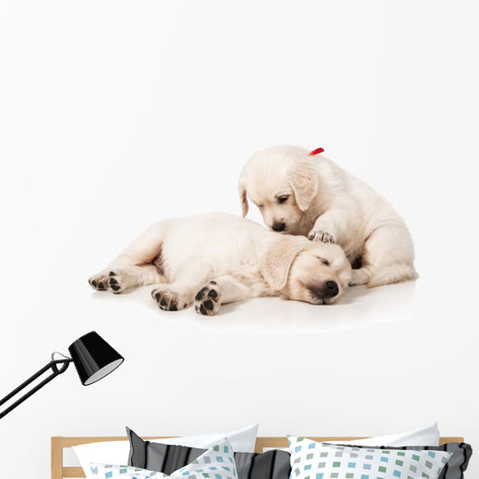 Resting Golden Retriever Puppies Wall Decal