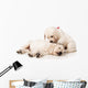 Resting Golden Retriever Puppies Wall Decal