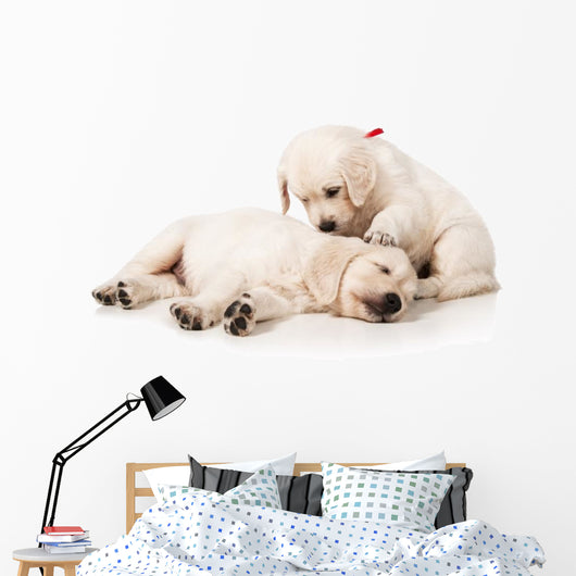 Resting Golden Retriever Puppies Wall Decal