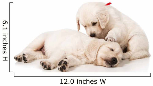Resting Golden Retriever Puppies Wall Decal