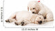 Resting Golden Retriever Puppies Wall Decal