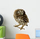 Young Owl Wall Decal