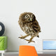 Young Owl Wall Decal