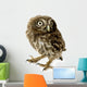 Young Owl Wall Decal