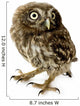 Young Owl Wall Decal
