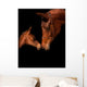 Soft Things Wall Decal