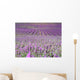 Rows in a Lavender Field Wall Decal