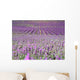 Rows in a Lavender Field Wall Decal