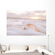 Shell Sea Wave And Foam Wall Decal