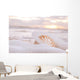 Shell Sea Wave And Foam Wall Decal
