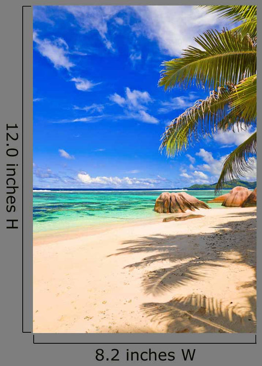 Beach Source Dargent Seychelles Wall Decal