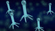 Bacteriophage 3D Wall Decal