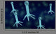 Bacteriophage 3D Wall Decal