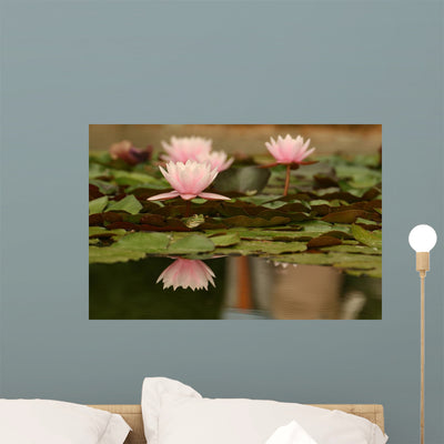 Frog Among Waterlilies Wall Decal shown on a wall