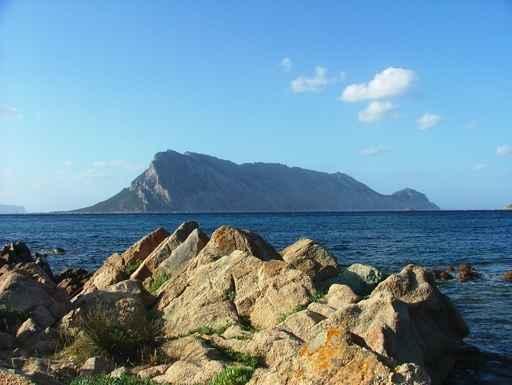 Isola Tavolara Wall Decal