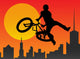 Bicyclist Wall Decal