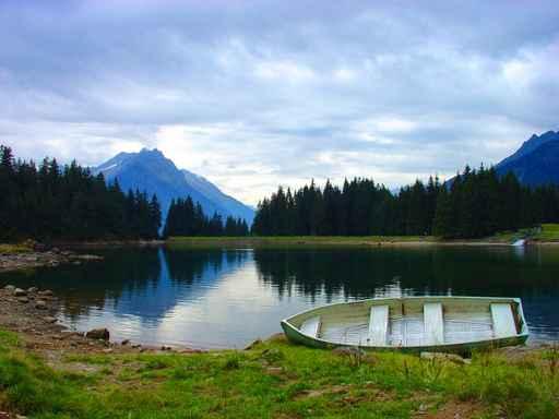Arnisee Wall Decal