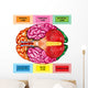 Human Brain Underside - Horizontal Wall Decal