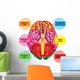 Human Brain Underside - Vertical Wall Decal