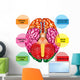 Human Brain Underside - Vertical Wall Decal