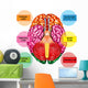 Human Brain Underside - Vertical Wall Decal