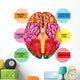 Human Brain Underside - Vertical Wall Decal