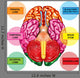 Human Brain Underside - Vertical Wall Decal
