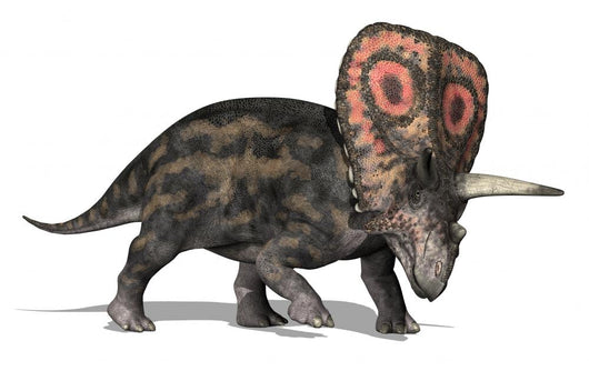 Torosaurus Dinosaur Wall Decal