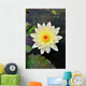White Lotus Flower Wall Decal