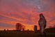 Avebury Stone Circle Wall Decal