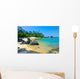 Madagascar Beach Wall Decal