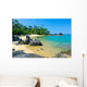 Madagascar Beach Wall Decal