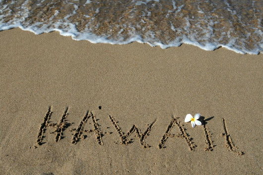Hawaii Wall Decal