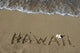Hawaii Wall Decal
