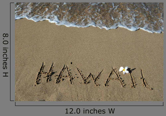 Hawaii Wall Decal