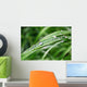 Morning Summer Dew Wall Decal