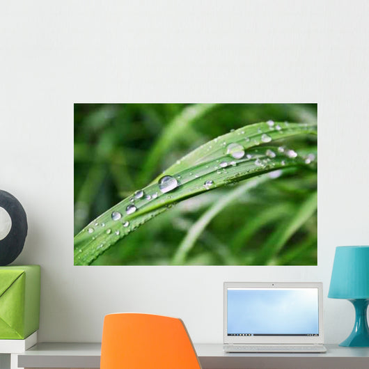 Morning Summer Dew Wall Decal