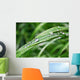 Morning Summer Dew Wall Decal