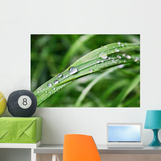 Morning Summer Dew Wall Decal