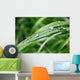 Morning Summer Dew Wall Decal
