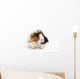 Guinea Pig Wall Decal
