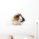 Guinea Pig Wall Decal