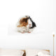 Guinea Pig Wall Decal