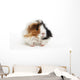 Guinea Pig Wall Decal