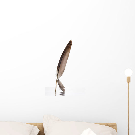 Feather Wall Decal