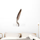 Feather Wall Decal
